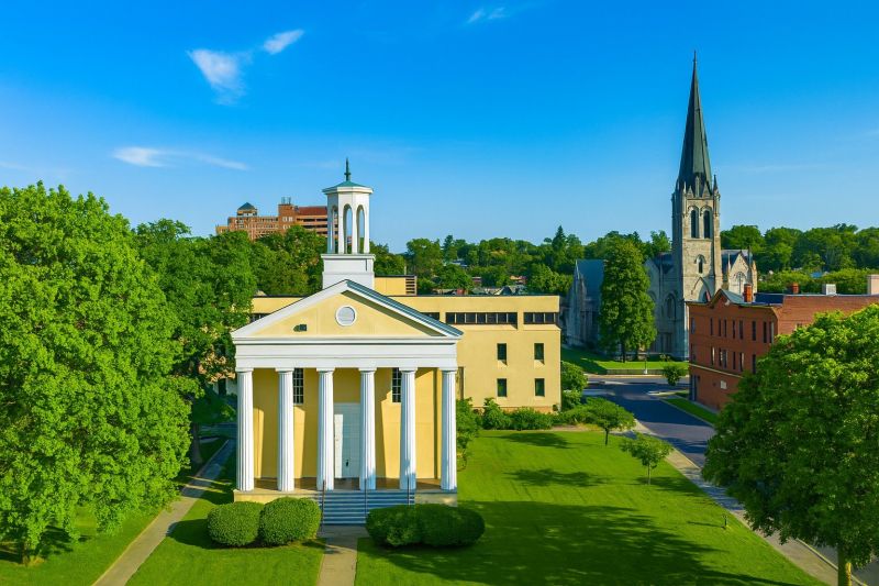 Local Arborist Pruning in Newburgh, NY
