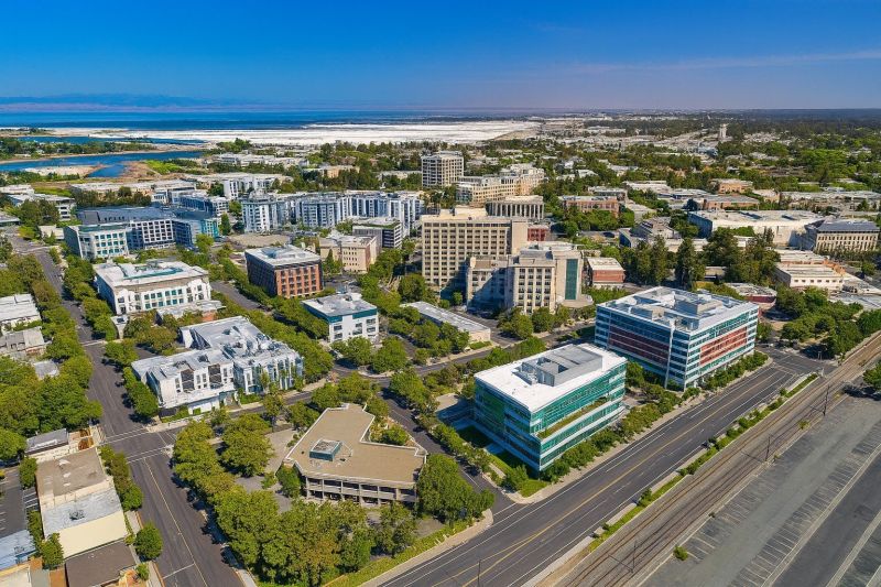 Local Arborist Tree Service in Redwood City, CA