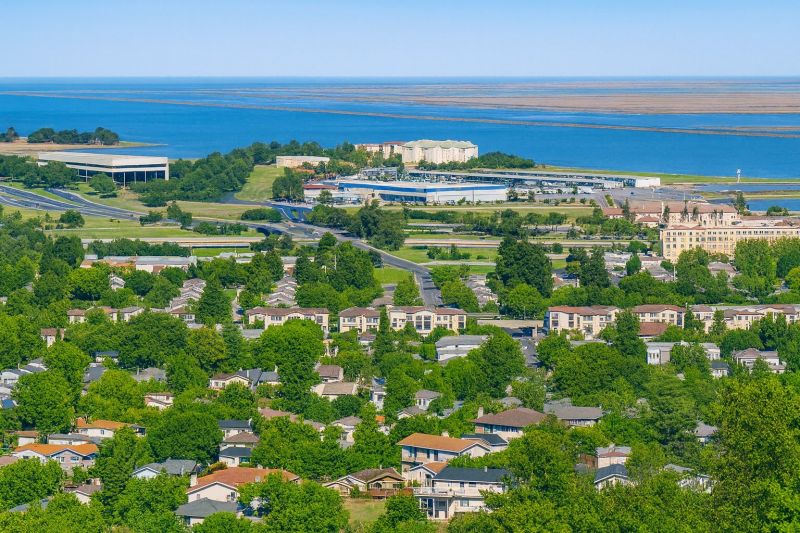 Local Arborist Tree Service in San Carlos, CA