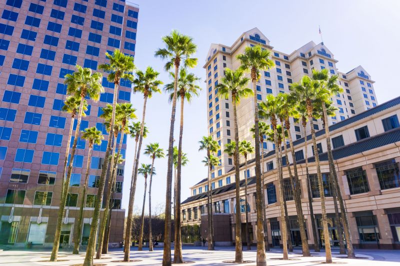 Local Arborist Tree Service in San Jose, CA