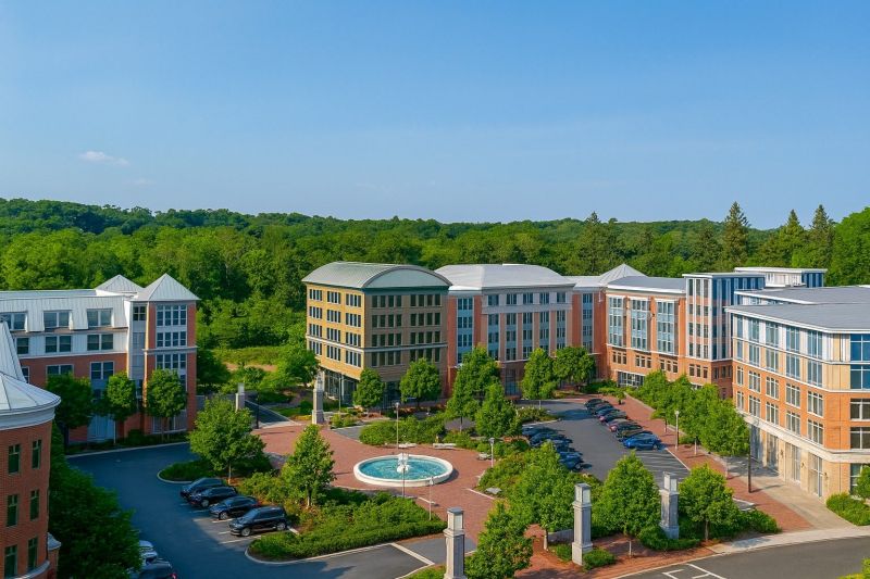 Local Arborist Tree Service in Brewster, NY