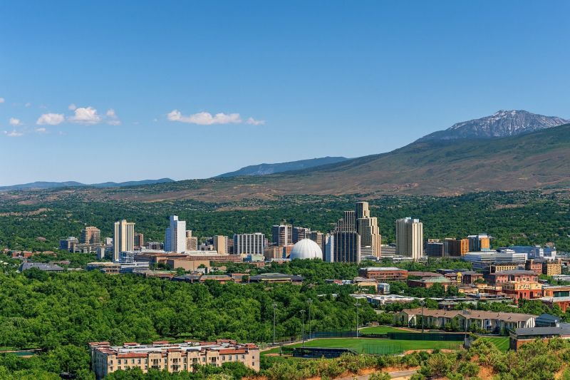 Local Arborist Tree Service in Sparks, NV