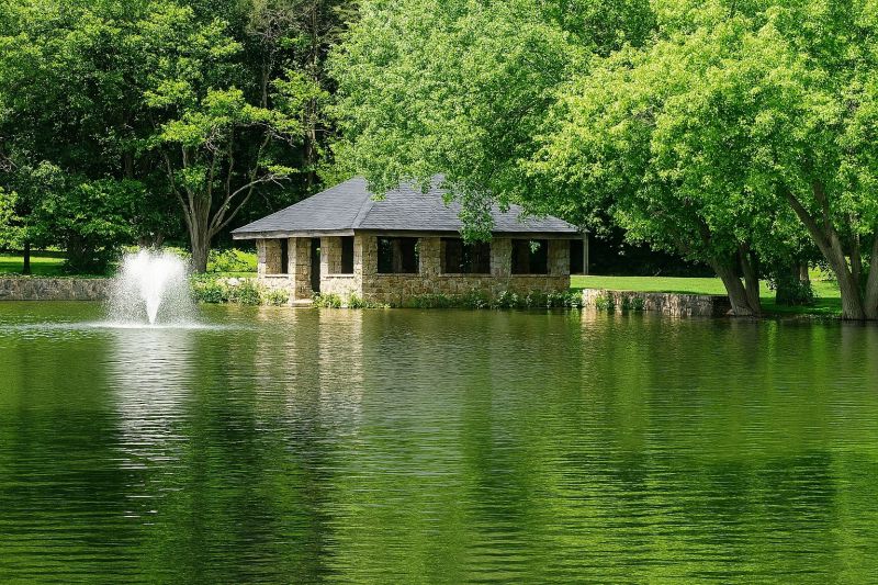 Local Tree Cabling Service in Darien, CT