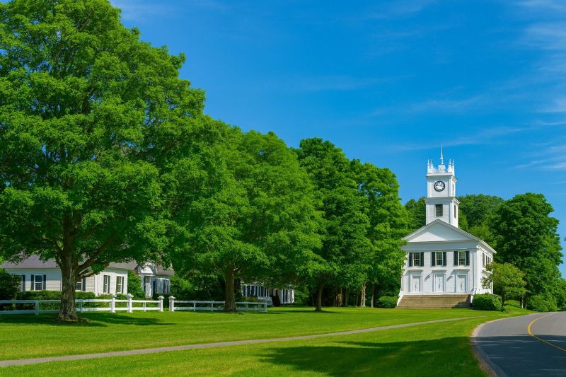 Local Tree Cabling Service in Redding, CT