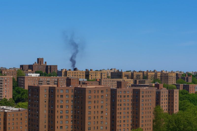 Local Tree Cabling Service in Bronx, NY