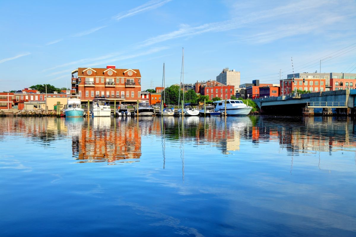 Local Tree Cabling Service in Norwalk, CT