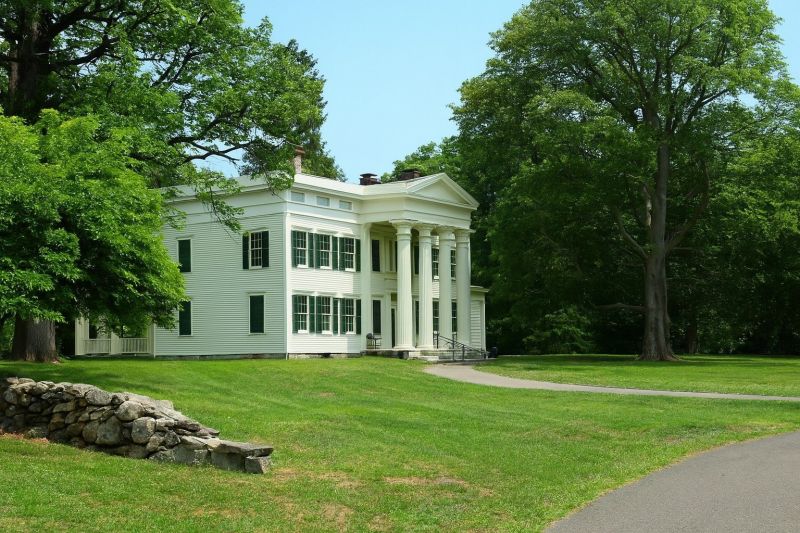 Local Tree Cabling Service in Rye, NY