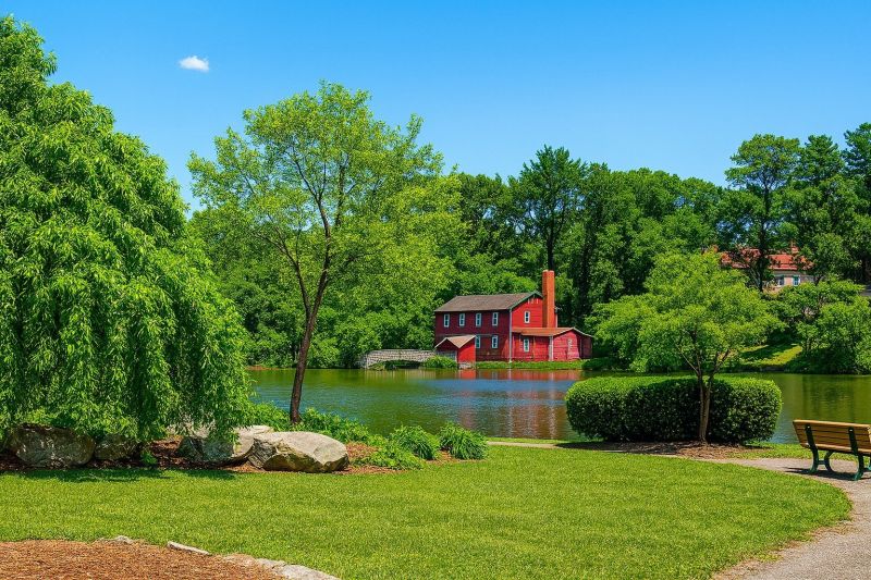 Local Tree Cabling Service in Bergenfield, NJ