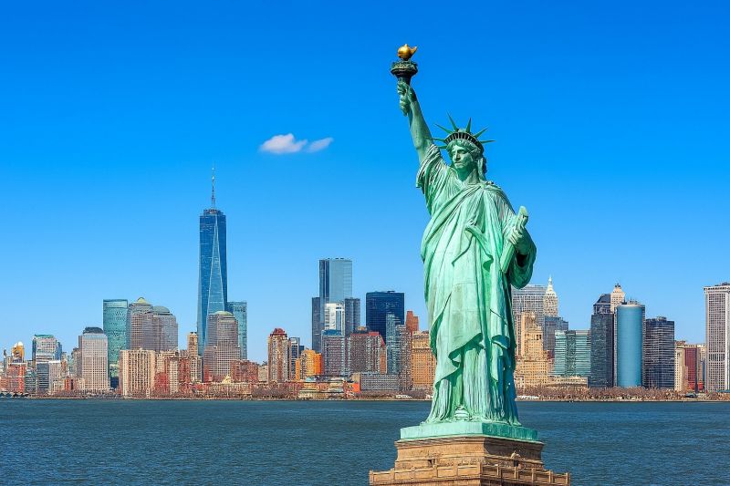 Local Tree Cabling Service in New York, NY