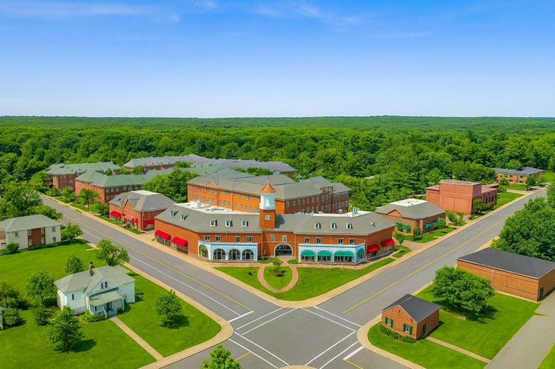 Local Tree Cabling Service in Livingston, NJ