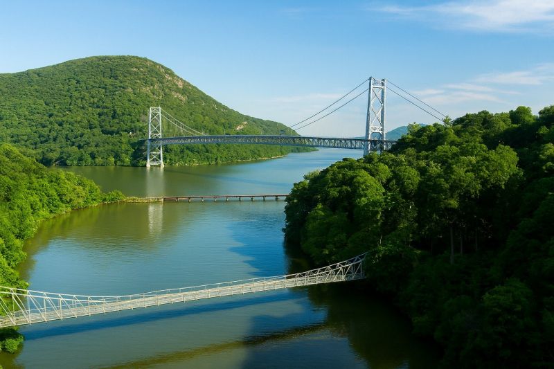 Local Tree Cabling Service in Monsey, NY