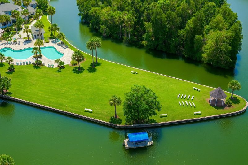 Local Tree Curbing Installation in Lecanto, FL