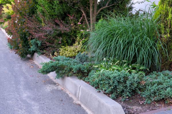Curbing Installation Service