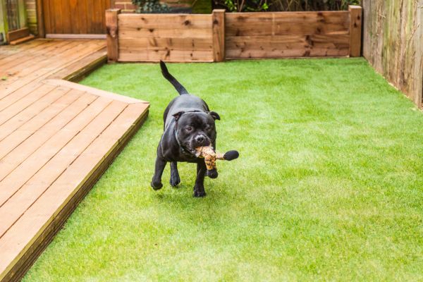 Pet Turf Installation Service