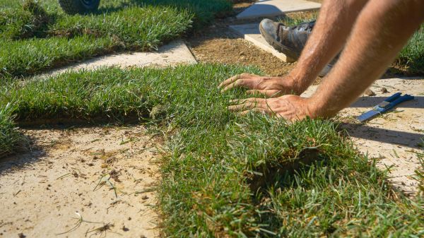 Lawn Patching Service