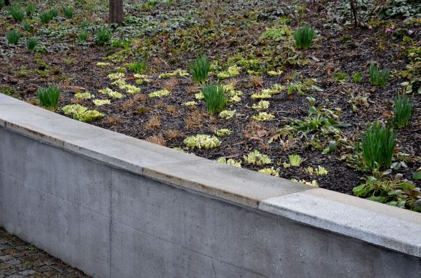 Erosion Control Installation Service