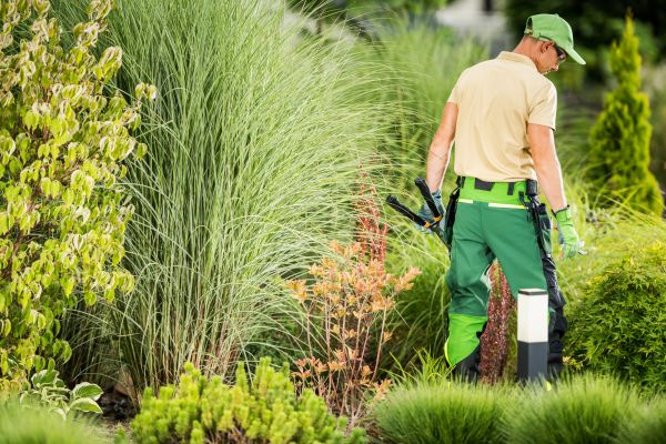Landscaping Repair Service