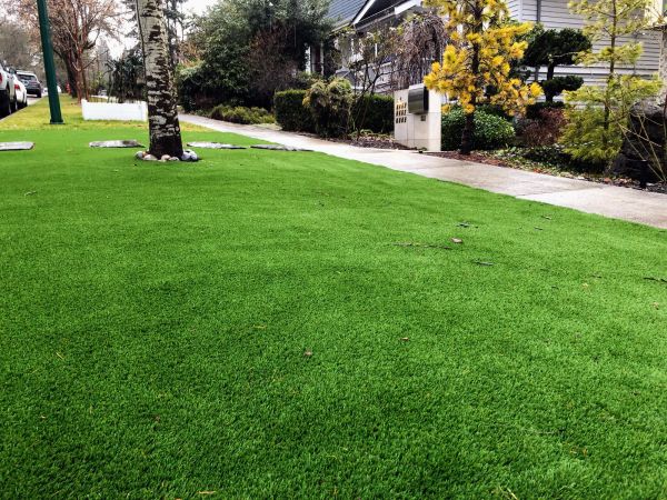 Turf Damage Repair
