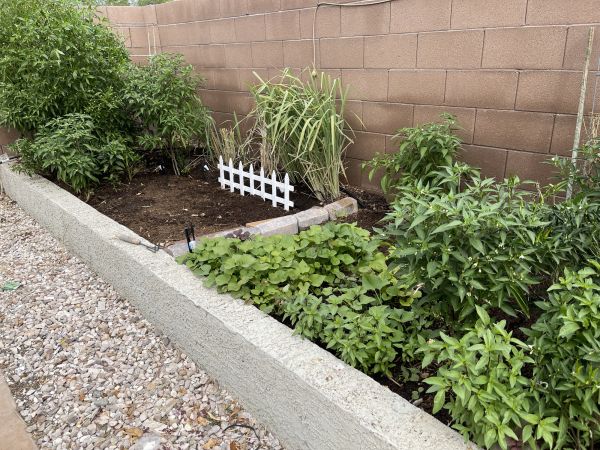 Cement Curbing Installation Service