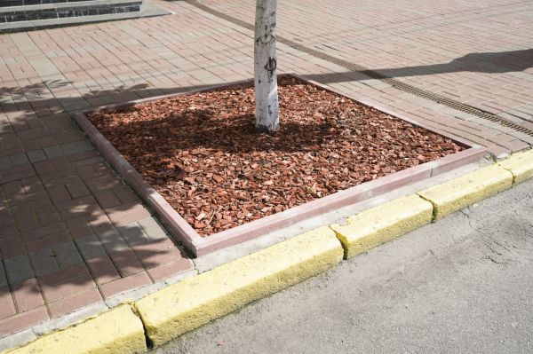 Tree Curbing Installation Service