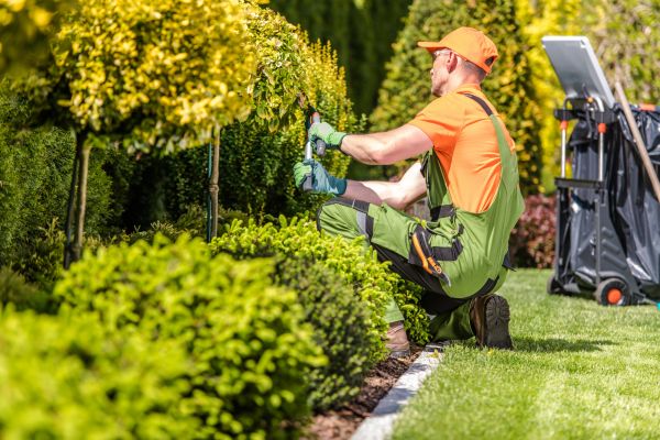 Yard Repair Service