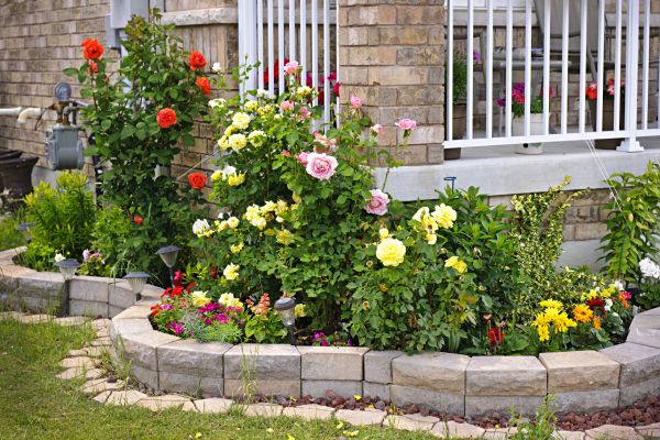 Lawn Curbing Service