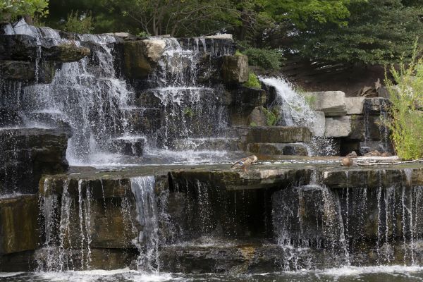 Garden Fountain Installation Service