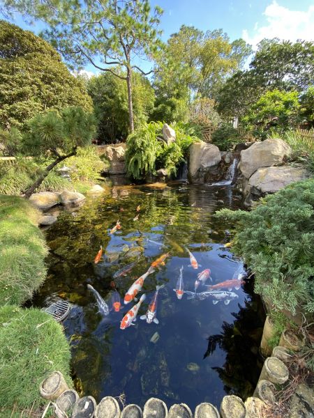 Water Feature Service
