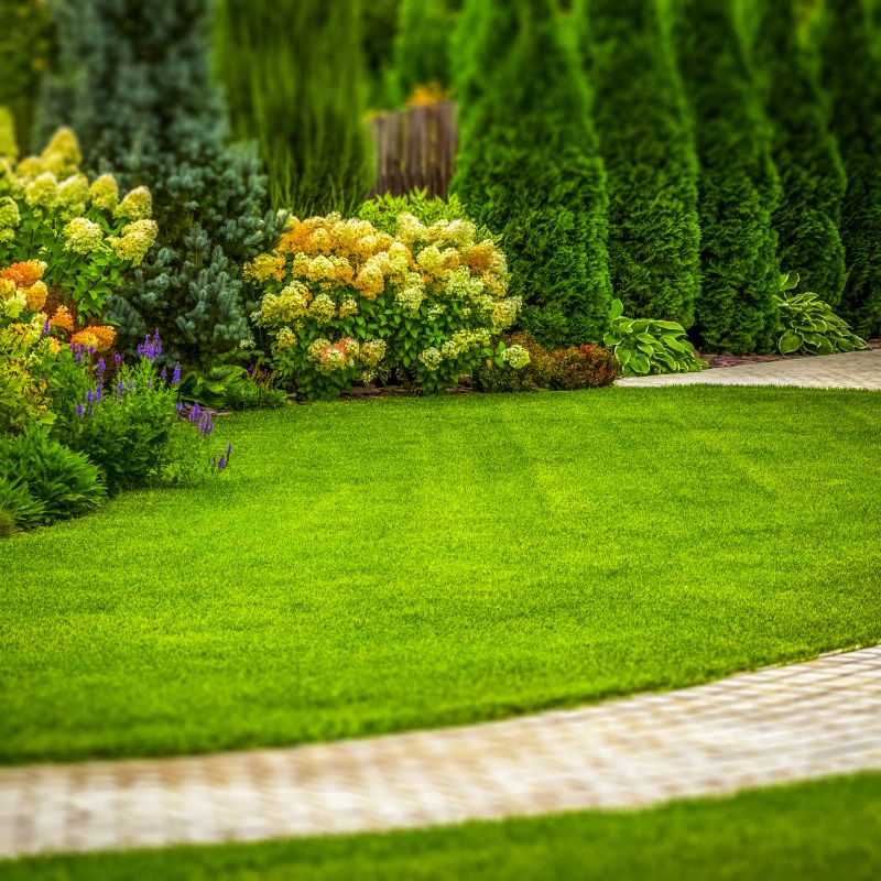 Landscaping