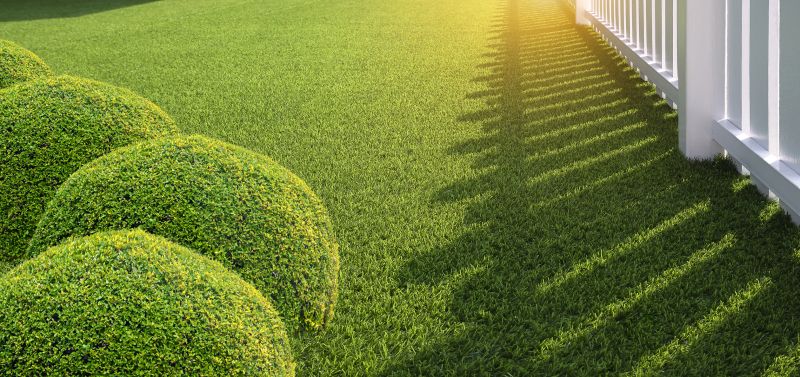 Local Artificial Grass Installation in Fredericksburg, TX