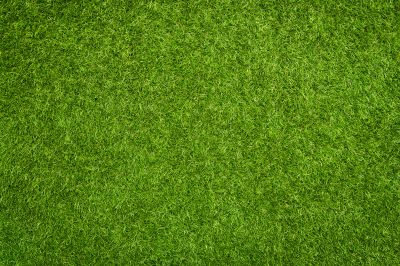 Local Artificial Grass Installation in Jarrell, TX