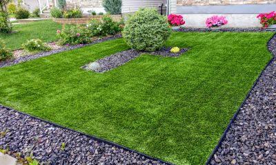 Local Artificial Grass Installation in Schertz, TX