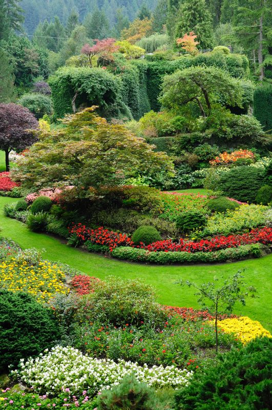 Local Commercial Landscaping in La Grange, TX