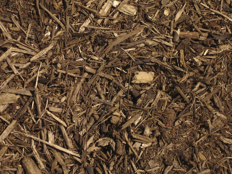 Local Commercial Mulching in Bastrop, TX