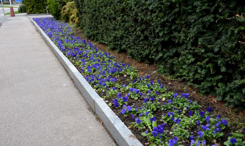 Local Flowerbed Curbing Installation in Boerne, TX