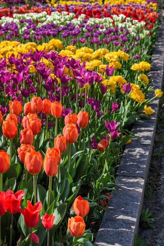 Local Flowerbed Curbing Installation in Kyle, TX