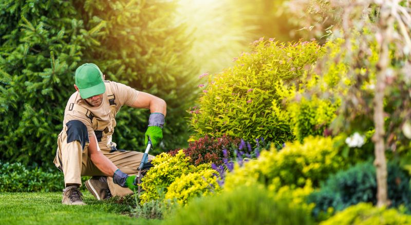 Local Gardening Service in Cibolo, TX