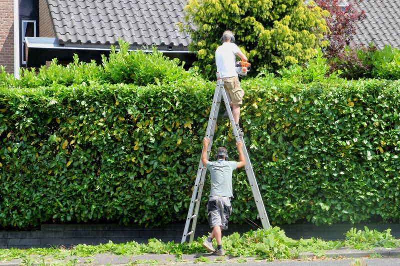 Local Hedge Installation in Victoria, TX