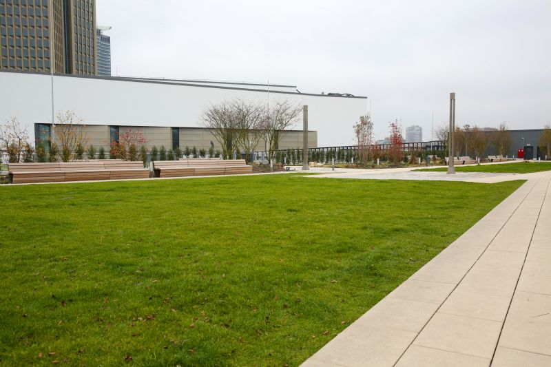 Local Industrial Landscaping Service in Kingsland, TX