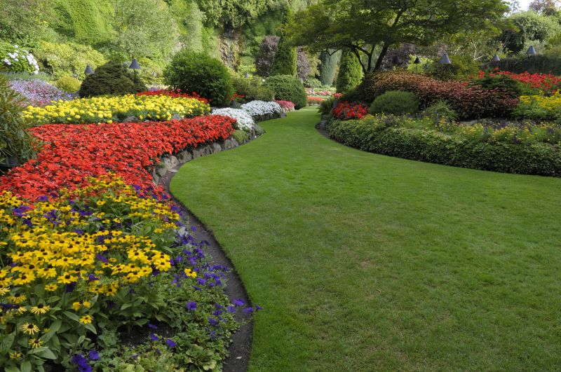 Vibrant Landscape Designs