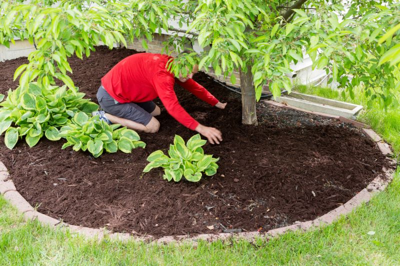 Local Landscape Mulching in Round Rock, TX