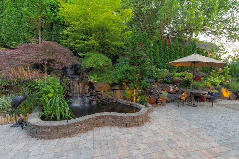 Local Landscape Remodeling in Schertz, TX