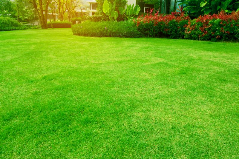 Local Landscaping Maintenance in Bertram, TX
