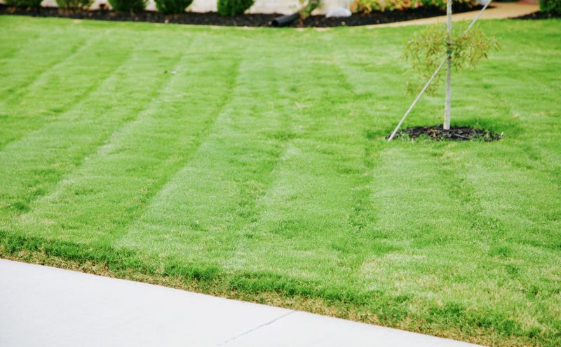 Local Lawn Border Installation in Bertram, TX