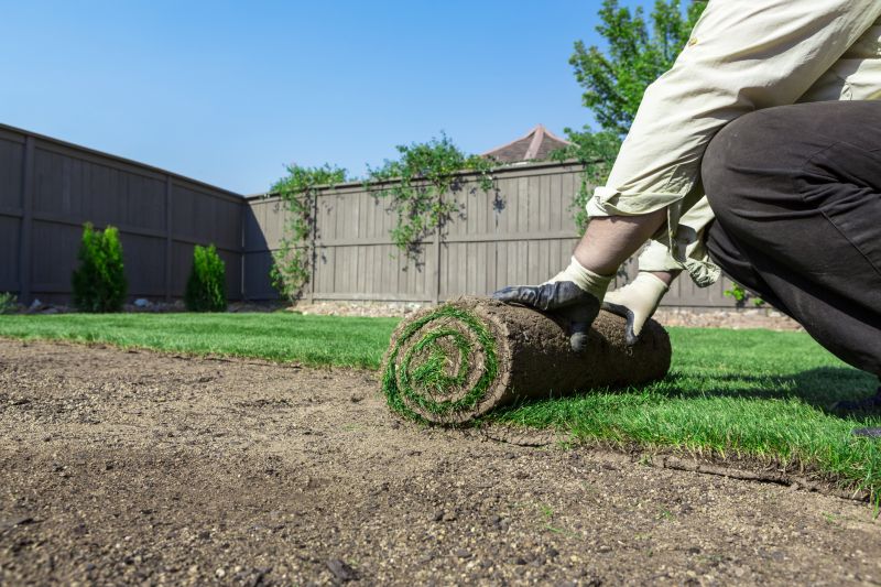 Local Lawn Border Installation in Castroville, TX