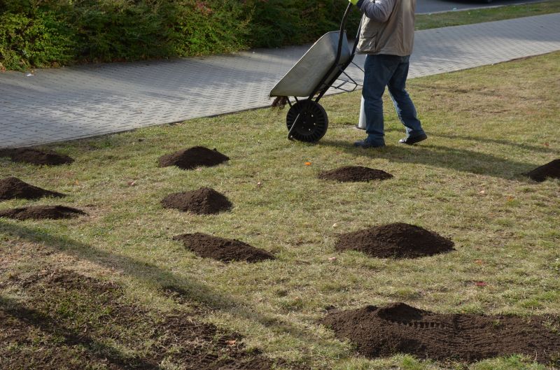 Lawn Erosion Repair