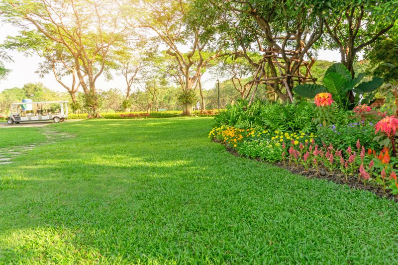 Local Lawn Landscaping in Bertram, TX