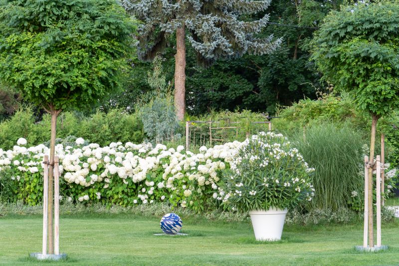 Local Lawn Landscaping in Jarrell, TX