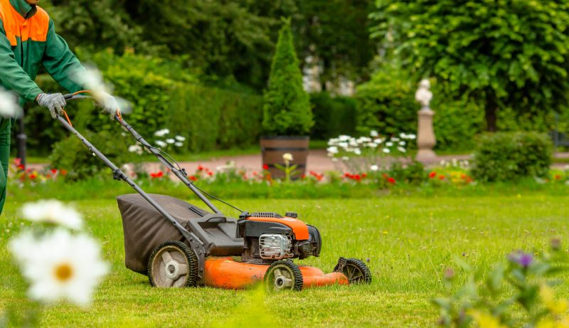 Local Lawn Repair Service in Lockhart, TX