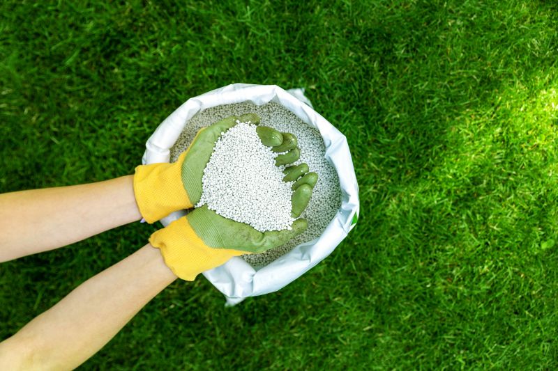 Local Lawn Repair Service in San Marcos, TX